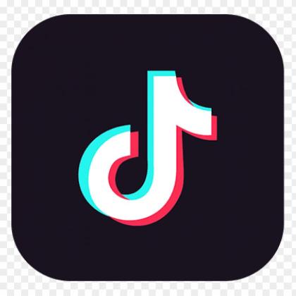 Aged Tiktok with Email Access - From 1 to 50 Real Followers. Age: 3-4 Years